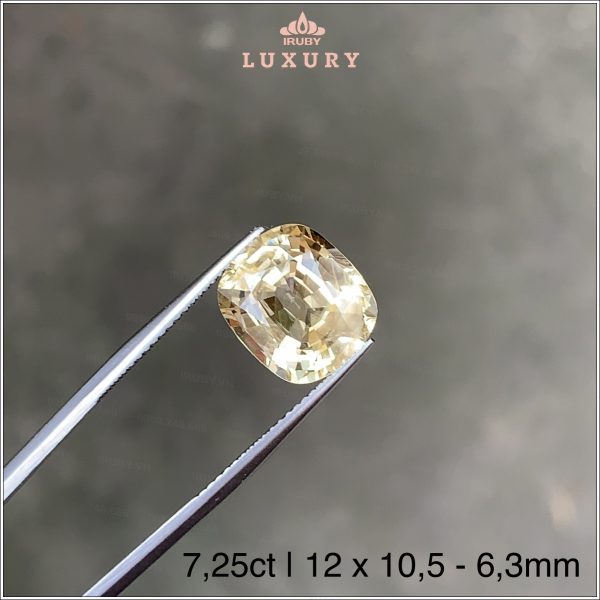 Đá Sapphire vàng 7,25ct tự nhiên 100% - IRYS168 2403725 hình ảnh 2