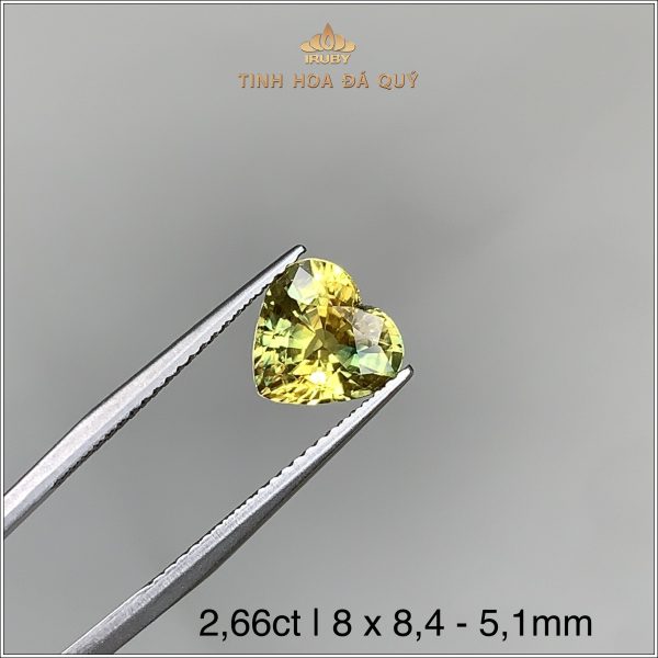 Đá Sapphire trái tim rực lửa 2,66ct - IRYS189 2405266 hình ảnh 2