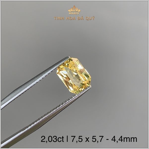 Đá Sapphire vàng tự nhiên 100% 2,03ct - IRYS193 2405203 hình ảnh 2