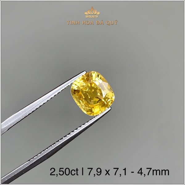 Đá Sapphire vàng tự nhiên 100% 2,50ct - IRYS199 2405250 hình ảnh 2