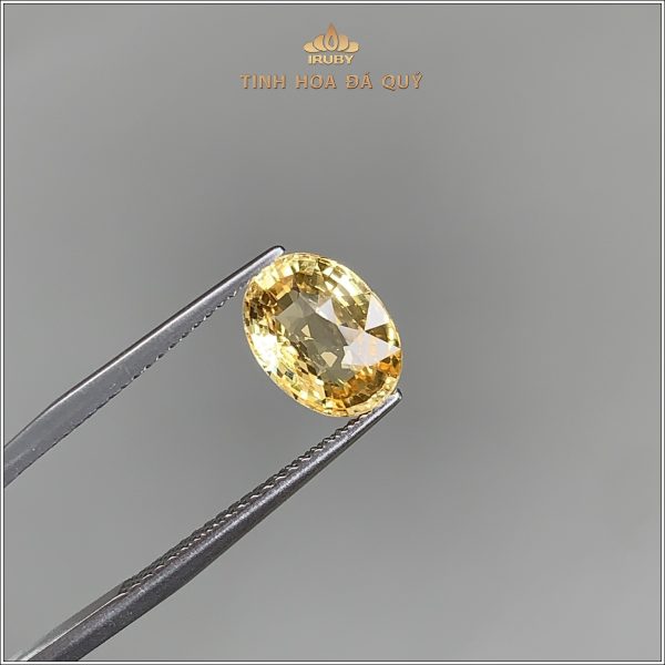 Đá Sapphire vàng tự nhiên 100% 2,70ct - IRYS198 2405270 hình ảnh 1