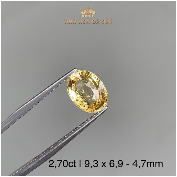 Đá Sapphire vàng tự nhiên 100% 2,70ct - IRYS198 2405270 hình ảnh 2