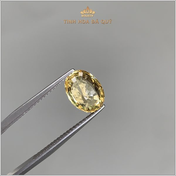 Đá Sapphire vàng tự nhiên 100% 2,70ct - IRYS198 2405270 hình ảnh 4