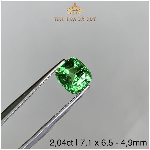 Đá Garnet Xanh gam màu đẹp - hiếm 2,04ct IRGN127 2407204 hình ảnh 4