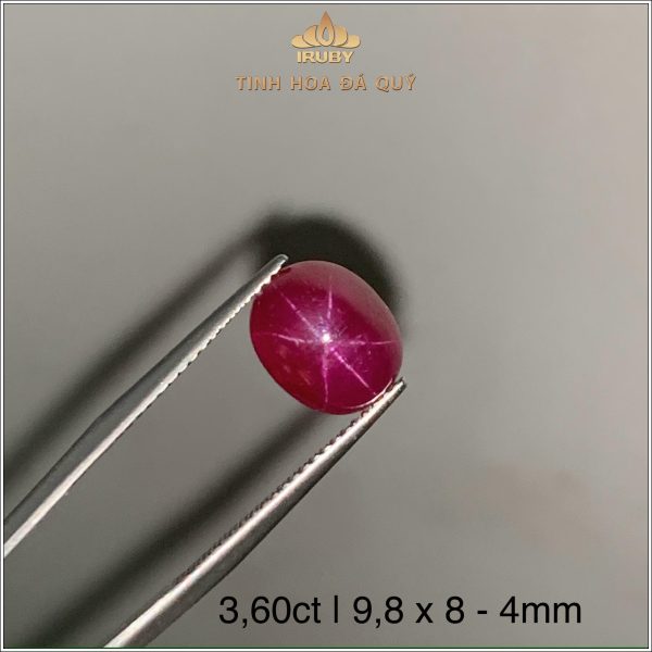 Đá Ruby Sao Yên Bái tự nhiên 100% 3,60ct - IRSR243 2407360 hình ảnh