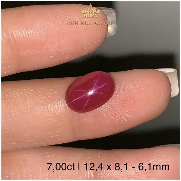 Đá Ruby sao tự nhiên 10% 7,00ct - IRSR242 2407700 hình ảnh 1