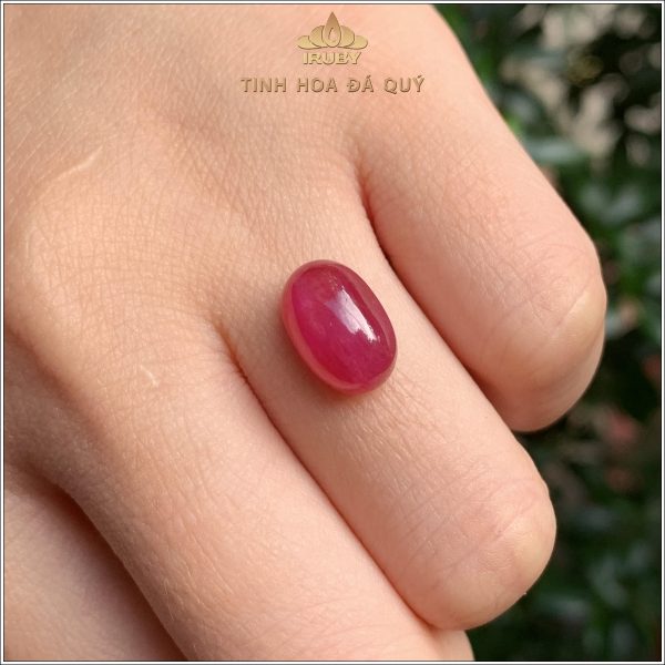 Đá Ruby sao tự nhiên 10% 7,00ct - IRSR242 2407700 hình ảnh 3