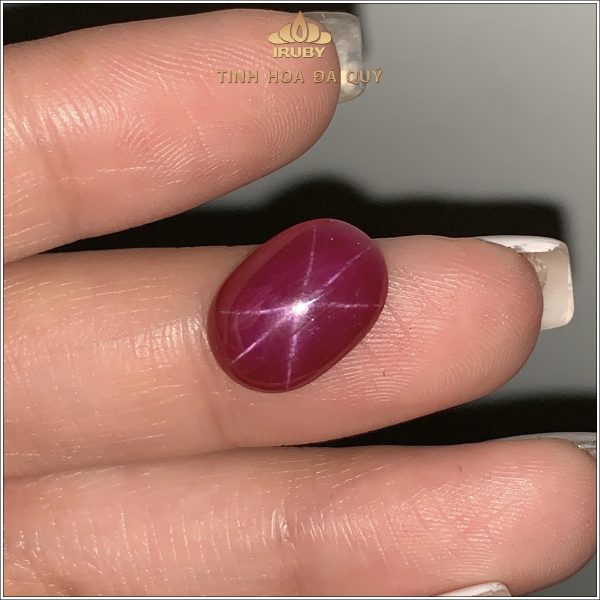 Đá Ruby sao tự nhiên 100% 8,97ct - IRSR241 2407897 hình ảnh 1