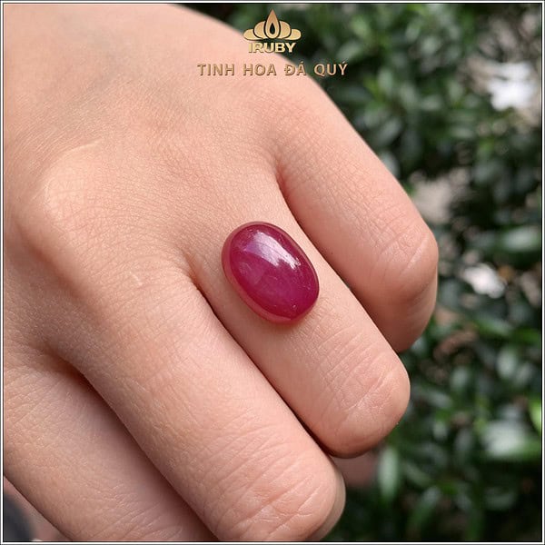 Đá Ruby sao tự nhiên 100% 8,97ct - IRSR241 2407897 hình ảnh 3