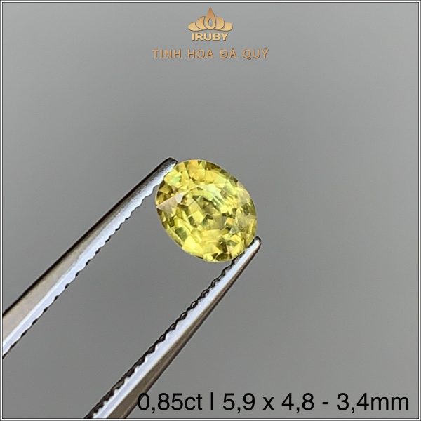 Đá Sapphire vàng tự nhiên 100% 0,85ct - IRYS266 2407085 hình ảnh 2