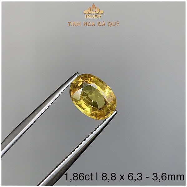 Đá Sapphire vàng tự nhiên 100% 1,86ct - IRYS259 2407186 hình ảnh