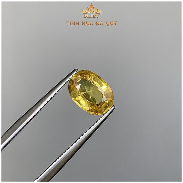 Đá Sapphire vàng tự nhiên 100% 1,86ct - IRYS259 2407186 hình ảnh 3