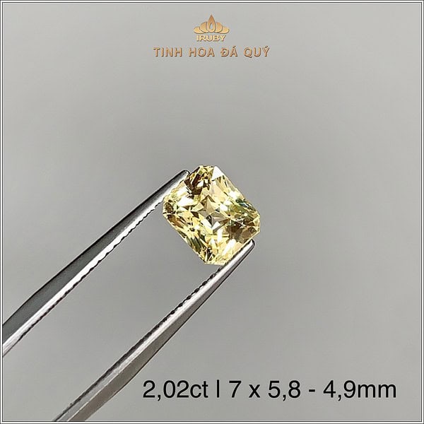 Đá Sapphire vàng tự nhiên 100% 2,02ct - IRYS251 2407202 hình ảnh 2