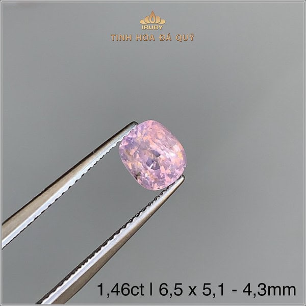 Đá Sapphire cháo đồng Lục Yên 1,46ct - IRSP274 2408146 hình ảnh 3