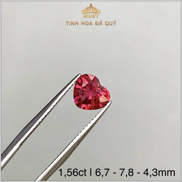 Đá Spinel đỏ trái tim tụa nhiên 100% 1,56ct IRSI119 2409156 hình ảnh