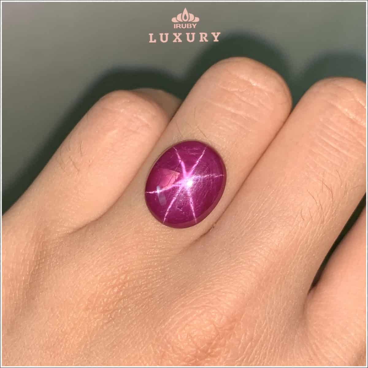 Đá Ruby sao Yên Bái tự nhiên 100% 15ct IRSR273 2410150 hình ảnh 2