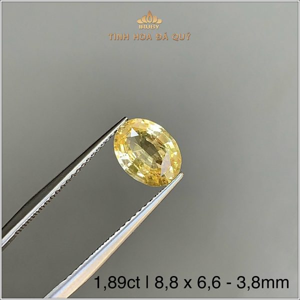 Đá Sapphire vàng tự nhiên 100% 1,89ct - IRYS287 2409189 hình ảnh 2