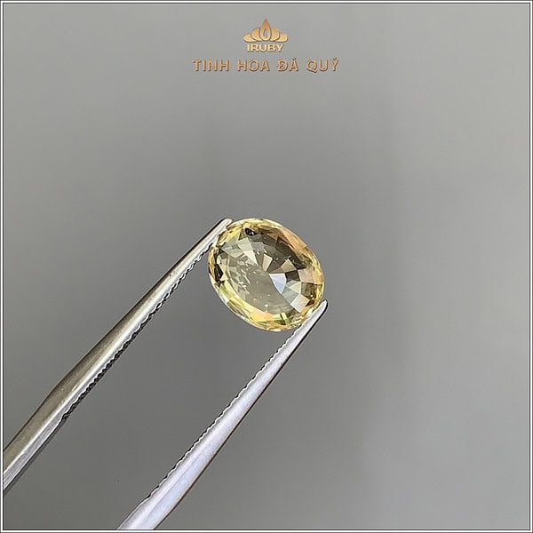 Đá Sapphire vàng tự nhiên 100% 2,39ct - IRYS288 2409239 hình ảnh 1