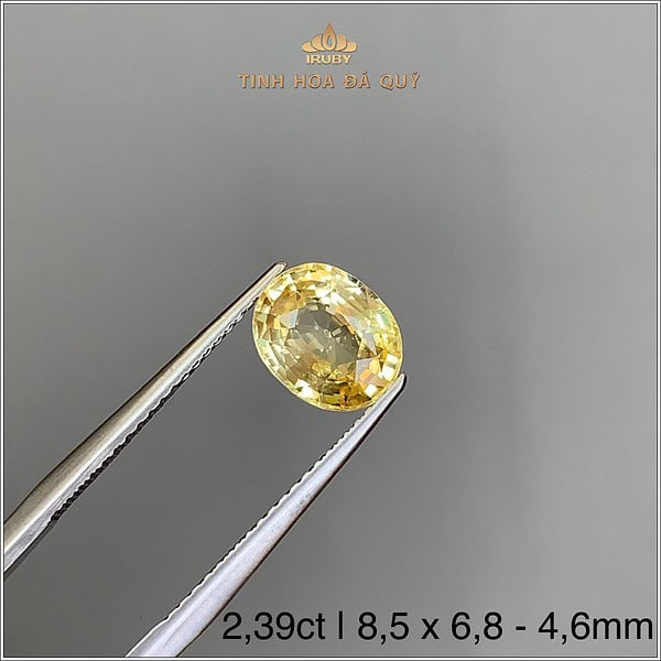 Đá Sapphire vàng tự nhiên 100% 2,39ct - IRYS288 2409239 hình ảnh 2