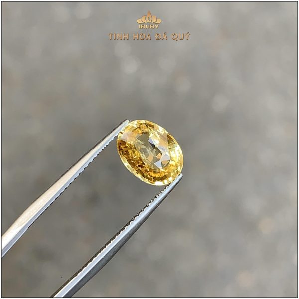 Đá Sapphire vàng tự nhiên 100% 2,69ct - IRYS294 2410269 hình ảnh