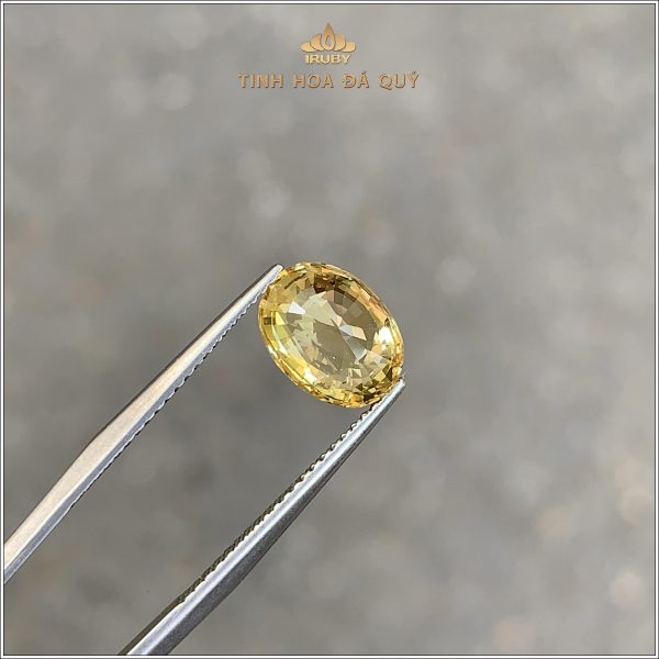 Đá Sapphire vàng tự nhiên 100% 2,69ct - IRYS294 2410269 hình ảnh 2