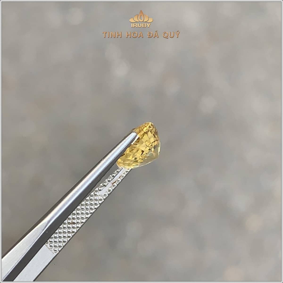 Đá Sapphire vàng tự nhiên 100% 2,69ct - IRYS294 2410269 hình ảnh 3