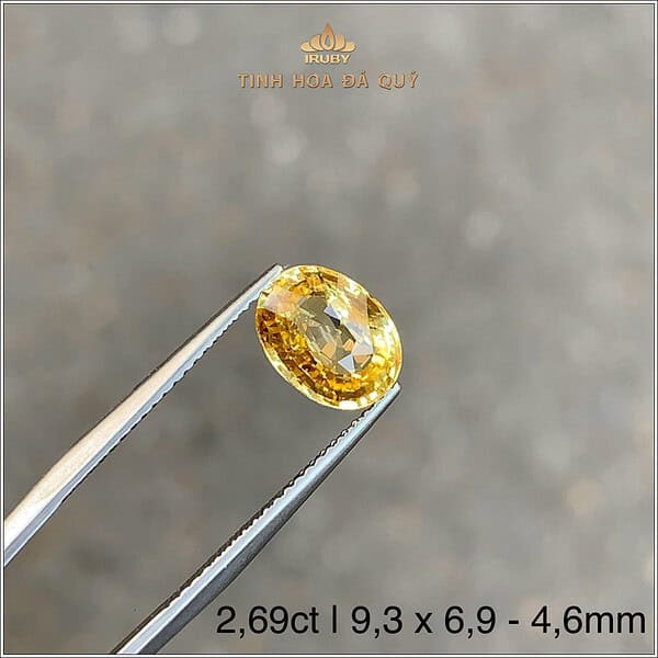 Đá Sapphire vàng tự nhiên 100% 2,69ct - IRYS294 2410269 hình ảnh 4