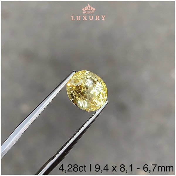 Đá Sapphire vàng tự nhiên 100% 4,28ct IRYS307 2412428 hinh ảnh 4