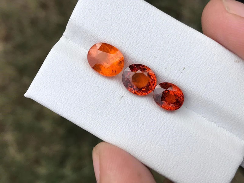 Garnet (Ngọc hồng lựu) - Khởi nguồn sự thành công