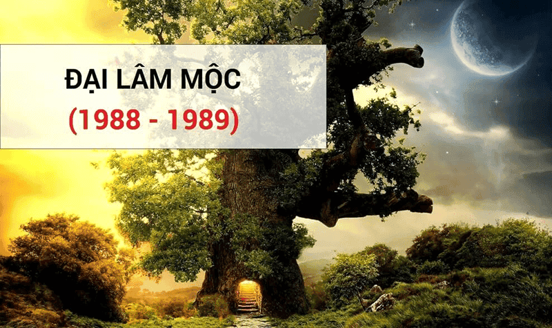 Dai Lam Moc la nap am so huu suc manh lon nhat trong cac loai menh Moc