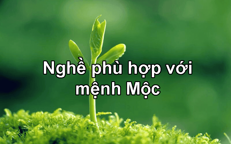 Doi voi menh Moc thi hien nay co rat nhieu nganh nghe phu hop de moi nguoi cung phat trien