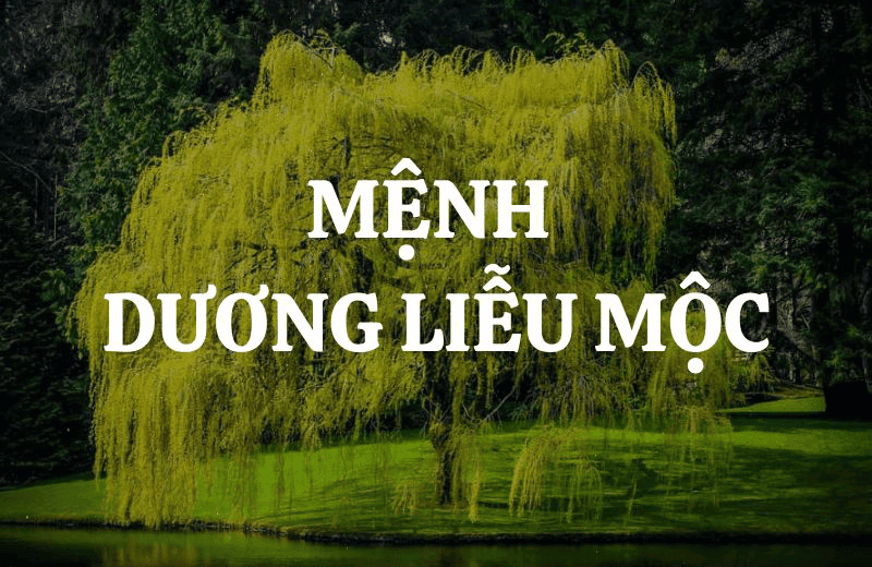 Duong Lieu Moc la nap am cua menh Moc mang nhieu y nghia phong thuy