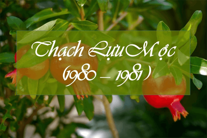 Hieu ro ve menh Thach Luu Moc se giup ban ung dung vao cuoc song tot hon