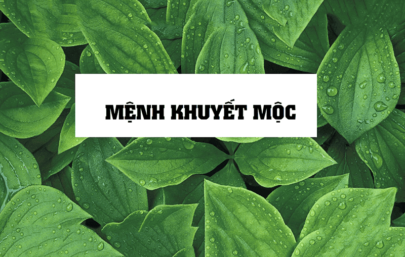 Khuyet Moc la tinh trang thieu Moc khi tram trong cua nhung nguoi menh Moc