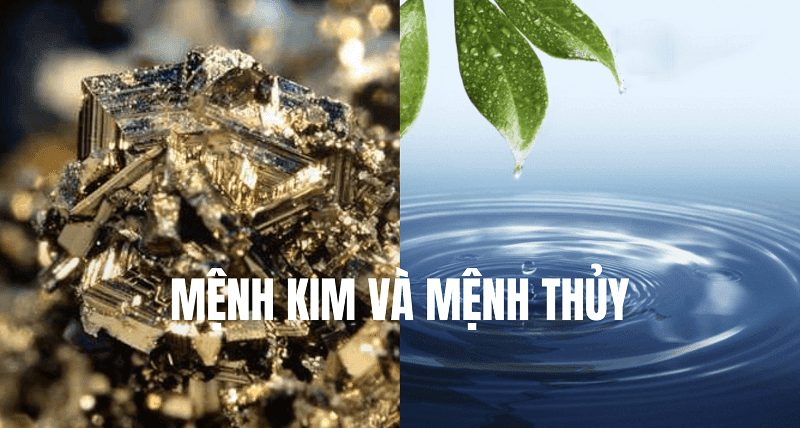 Kim va Thuy se la hai menh co the bo tro nang luong Thuy cuc tot cho nguoi menh khuyet Thuy