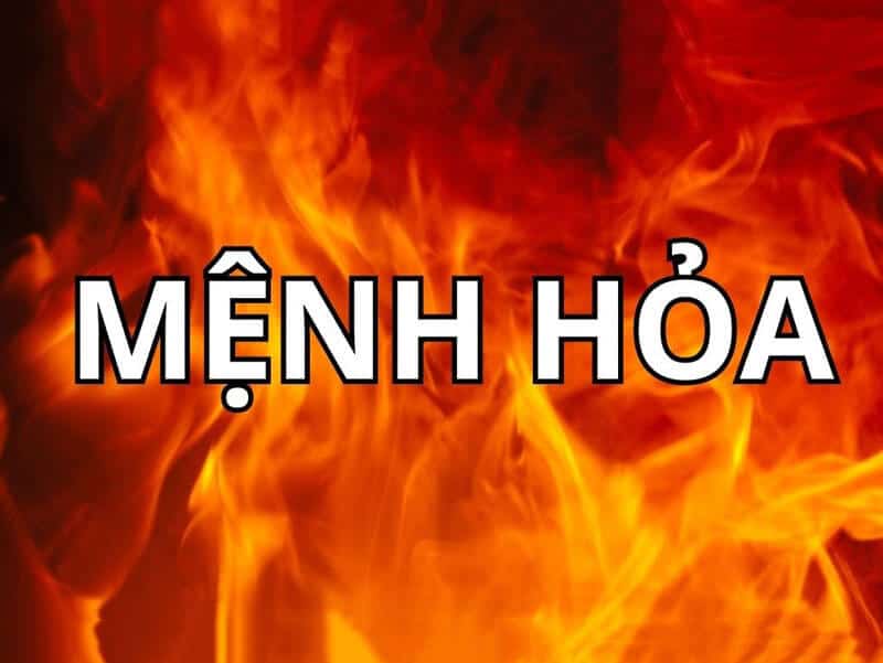 menh hoa dai dien cho lua - nguon nang luong manh me va su bung no