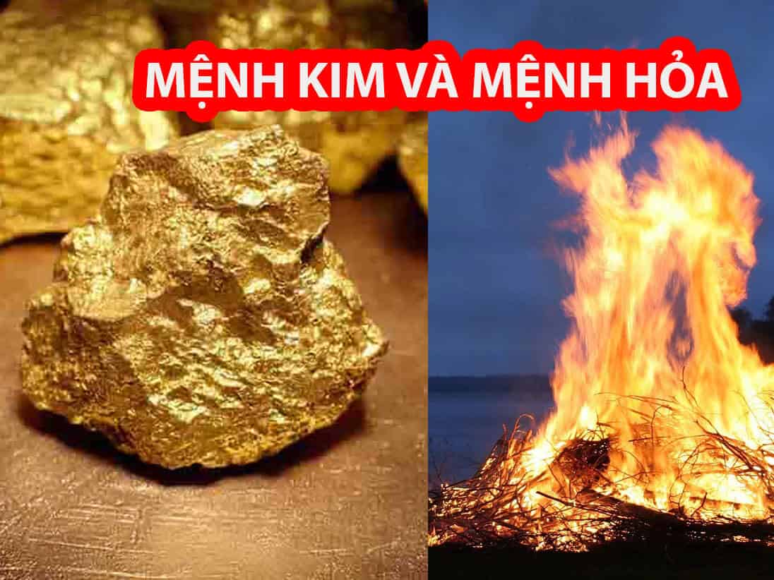 kim va hoa dai dien cho hai dang nang luong manh me, giong nhu cach cuoc song luon thay doi va bien doi