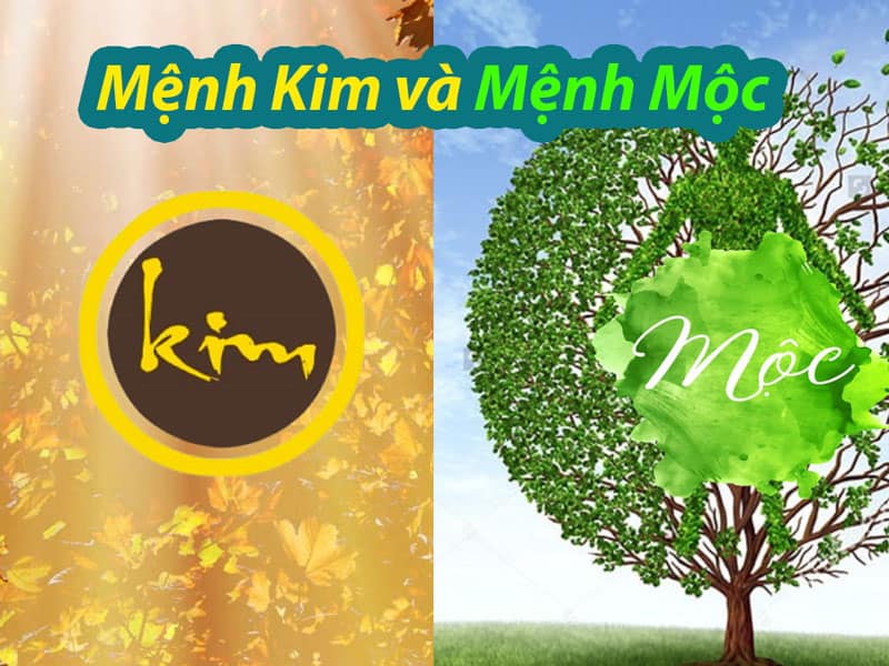 su tuong khac giua kim (kim loai) va moc (cay) trong tu nhien