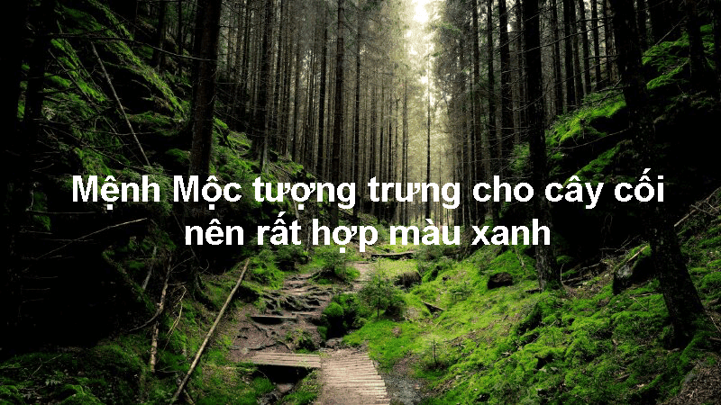 Menh Moc tuong trung cho cay coi nen rat hop mau xanh