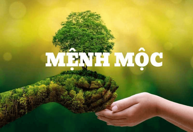 Menh moc tuong trung cho cay coi va luon su song manh liet cung y tri kien cuong