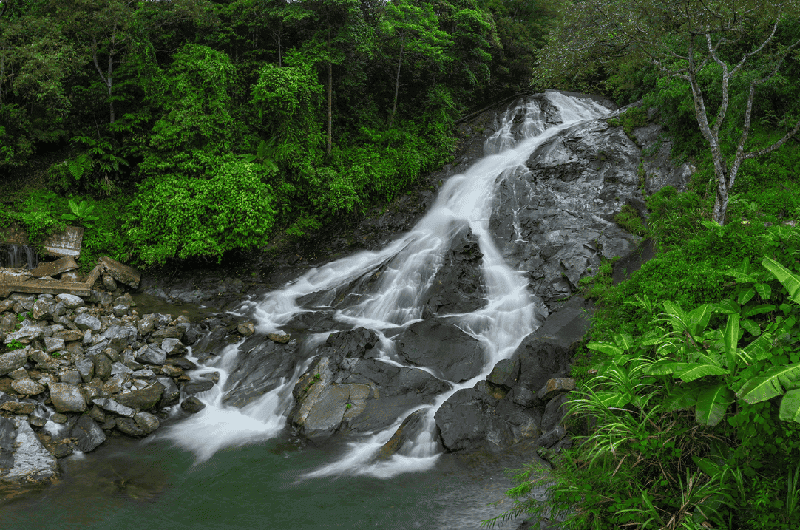 Menh Thuy va Moc se la hai menh hop voi nguoi Binh Dia Moc nhat