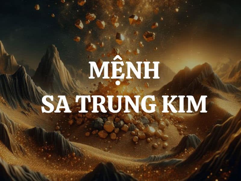 hieu ro ban chat cua sa trung kim de dua ra nhung lua chon dung dan, mo ra con duong dan den thanh cong