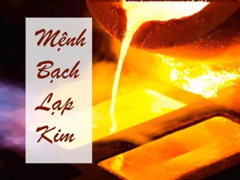 bach lap kim tuong trung cho ve dep tinh khiet nhu anh vang tinh te cua sap ong