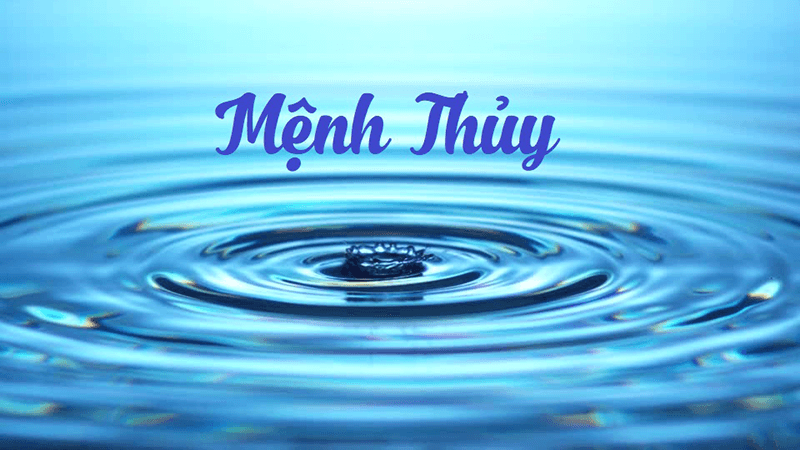 Theo ngu hanh tuong sinh thi menh Thuy se hop voi menh Duong Lieu Moc nhat