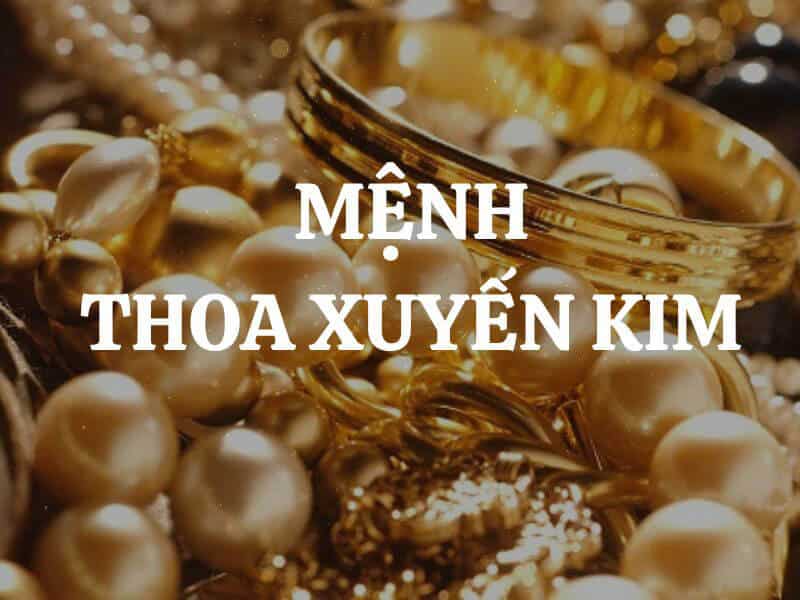 thoa xuyen kim sinh vao nam canh tuat va tan hoi va dai dien cho ve dep thanh lich va quy phai