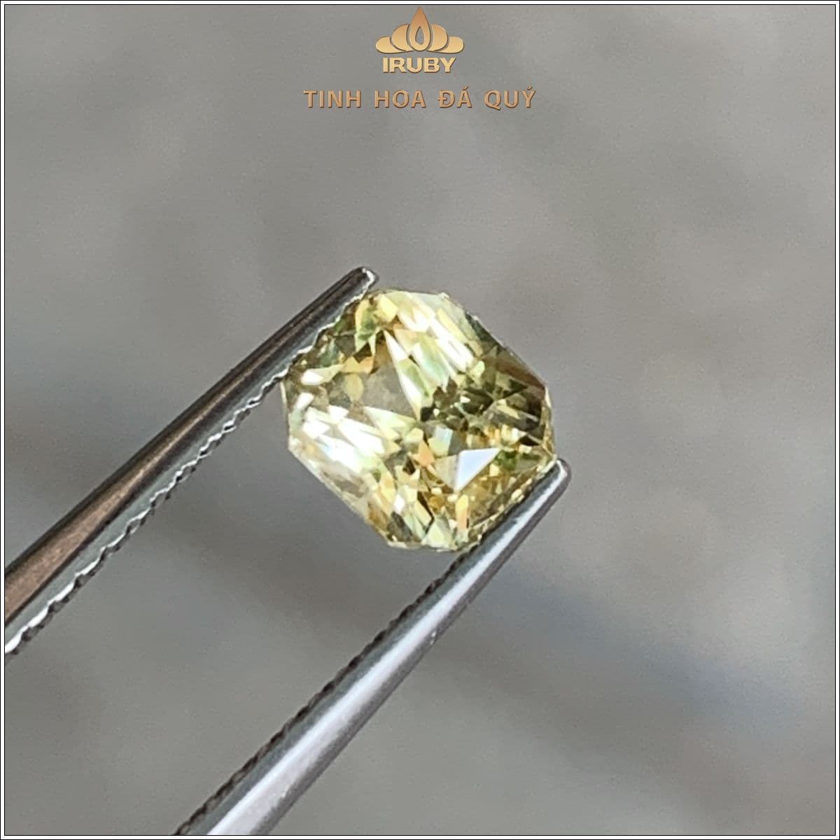 Đá Sapphire vàng SriLanka tự nhiên 100% 1,52ct - IRYS 2505152 Đá Sapphire vàng SriLanka tự nhiên 100% 1,52ct - IRYS 2505152