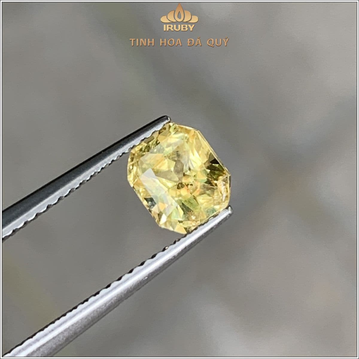 Đá Sapphire vàng SriLanka tự nhiên 100% 1,54ct - IRYS 2505154 Đá Sapphire vàng SriLanka tự nhiên 100% 1,54ct - IRYS 2505154