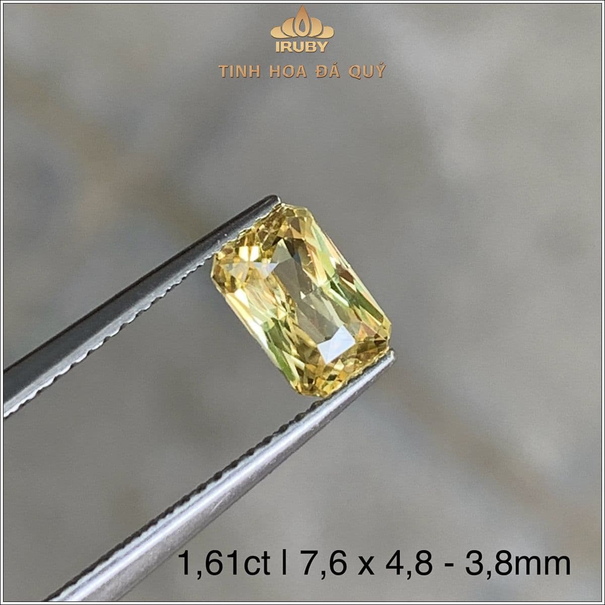 Đá Sapphire vàng SriLanka tự nhiên 100% 1,61ct - IRYS 2505161 Đá Sapphire vàng SriLanka tự nhiên 100% 1,61ct - IRYS 2505161