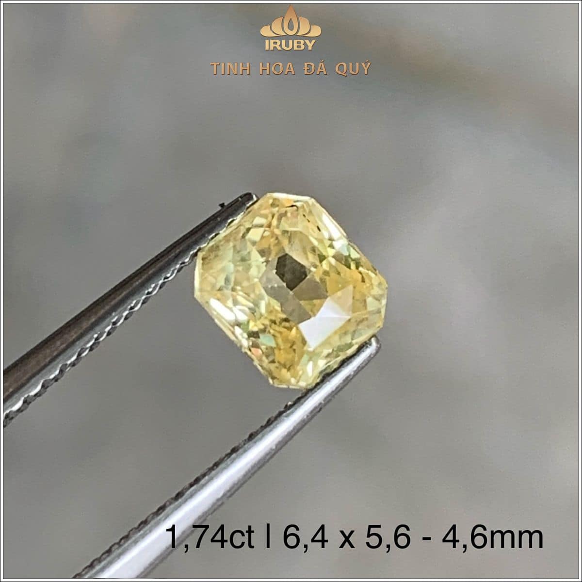 Đá Sapphire vàng SriLanka tự nhiên 100% 1,74ct - IRYS 2505174 Đá Sapphire vàng SriLanka tự nhiên 100% 1,74ct - IRYS 2505174