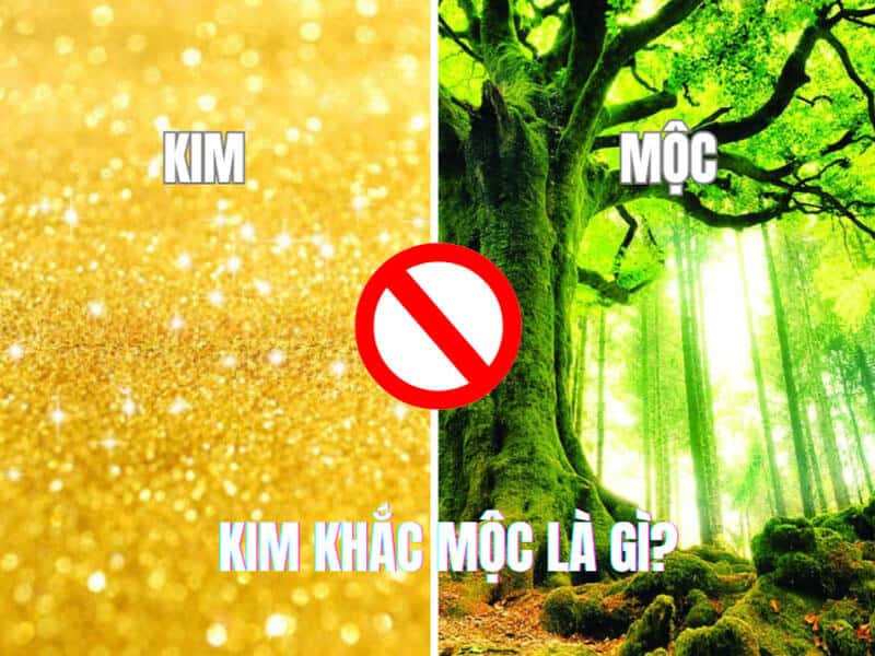 kim khac moc nghia la kim loai (kim) che ngu cay coi (moc) trong tu nhien